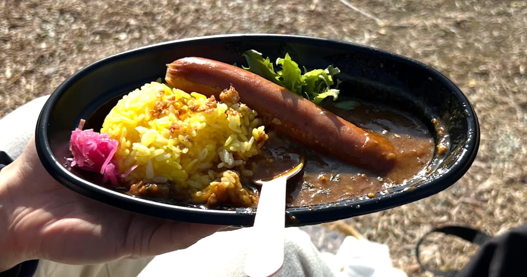 知多豚のスパイシー出汁カレー