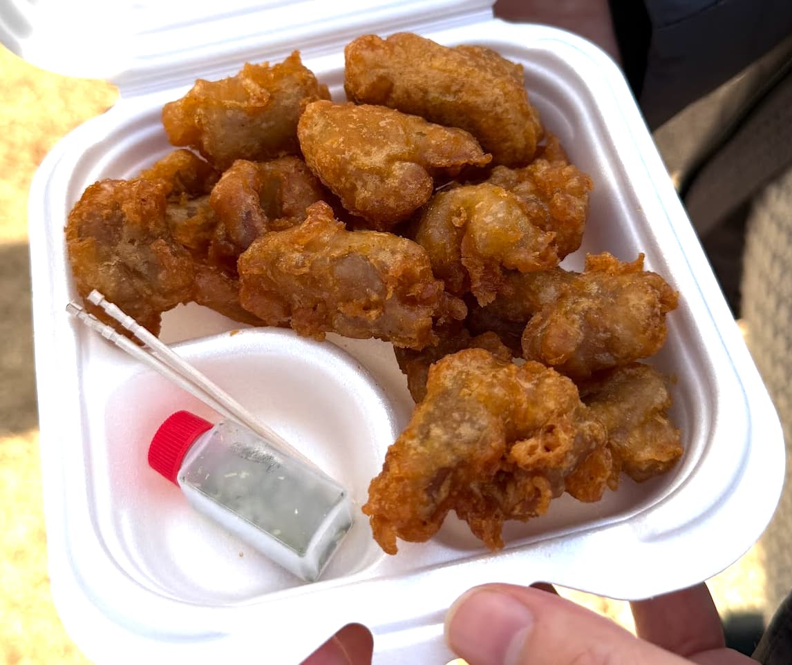 ホルモン唐揚げ